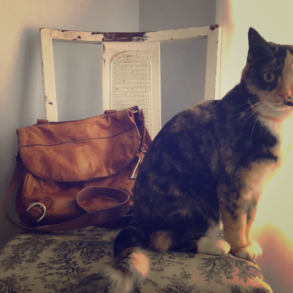 Fossil crossbody bag